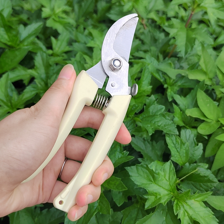 Combo Kéo cắt cành và kéo tỉa cành không thể thiếu trong chăm sóc cây cảnh bonsai