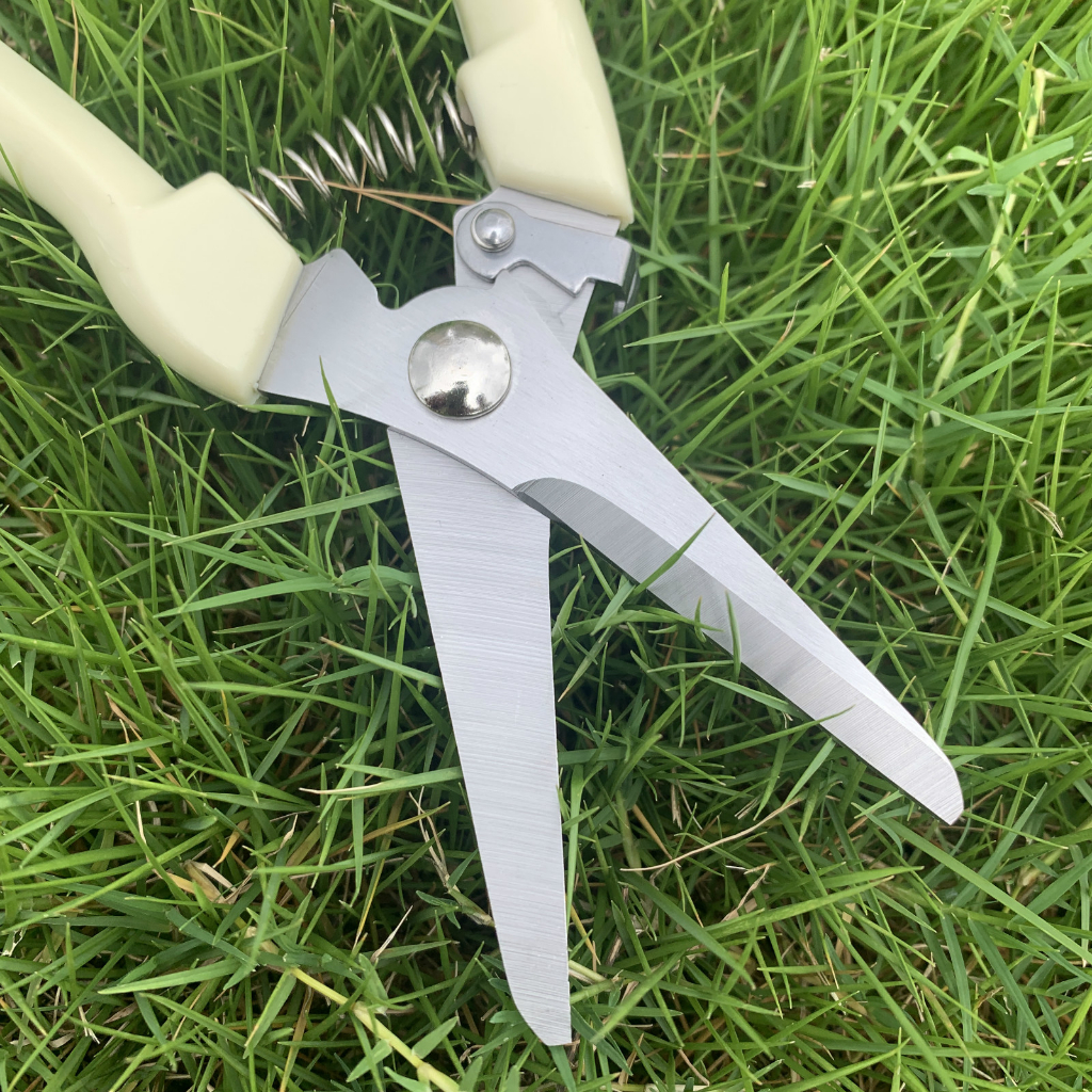 Combo Kéo cắt cành và kéo tỉa cành không thể thiếu trong chăm sóc cây cảnh bonsai