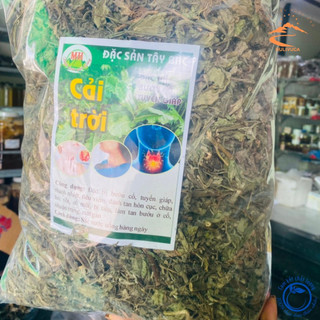 Cây cải trời khô loại 1 được thu hái, phơi khô từ rau cải trời tươi, trồng hữu cơ tại rừng Tây Bắc