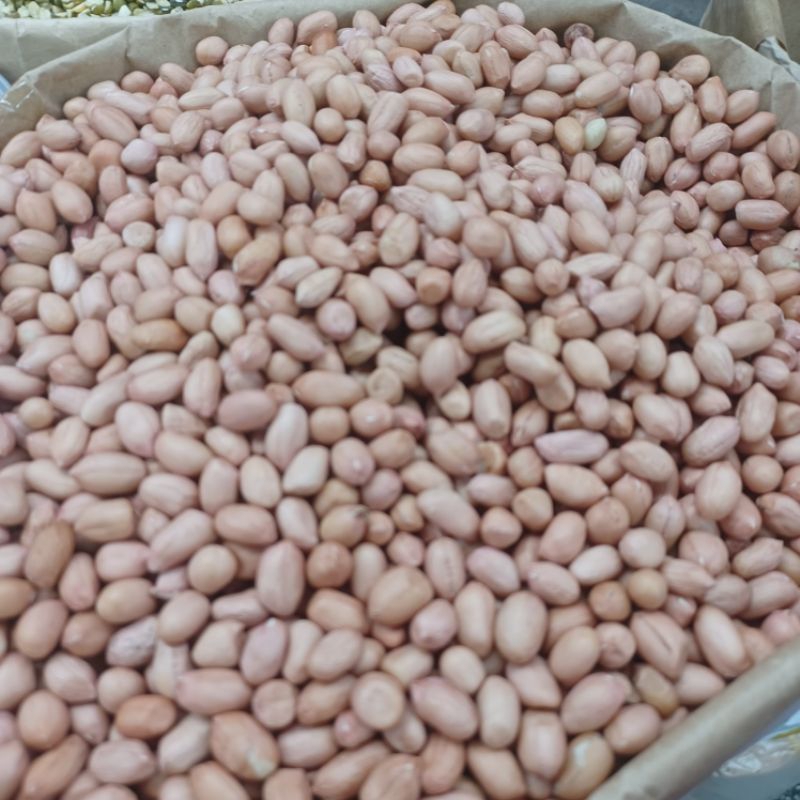 Đậu phộng non hạt nhỏ nguyên liệu nấu ăn1goi500g1kg