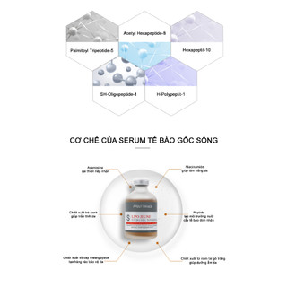 Serum Tế bào Gốc Lipo Jun