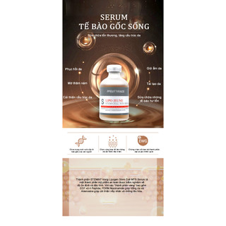 Serum Tế bào Gốc Lipo Jun