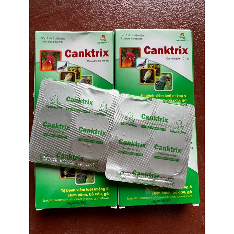 Canktrix nấm họng loét miệng trên gà chọi gà đá gia cầm