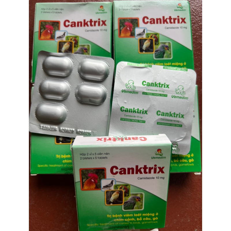 Canktrix nấm họng loét miệng trên gà chọi gà đá gia cầm