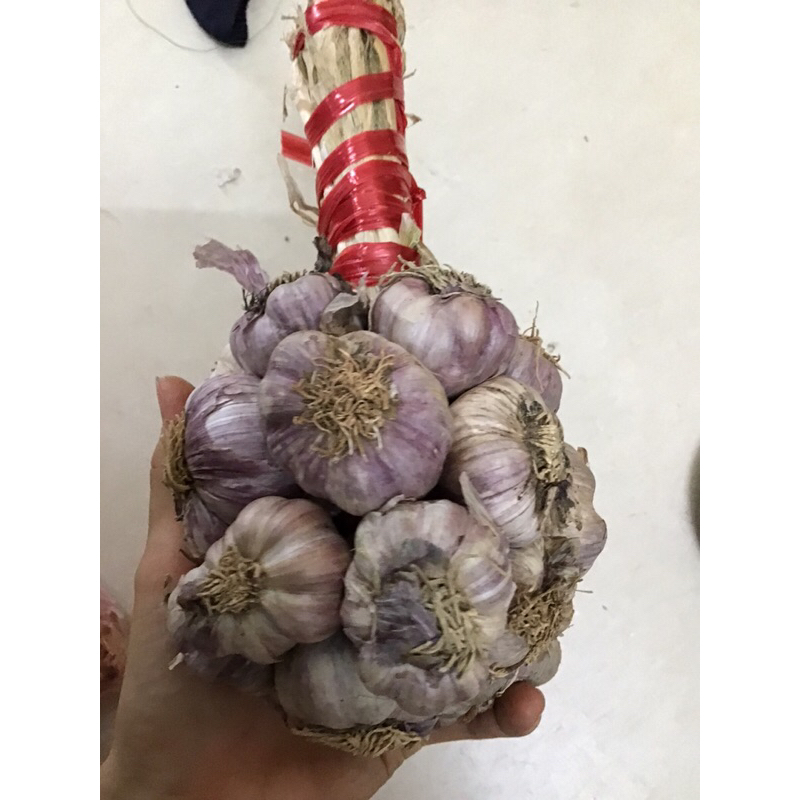 1Kg Tỏi ta - tỏi tía siêu thơm loại 1