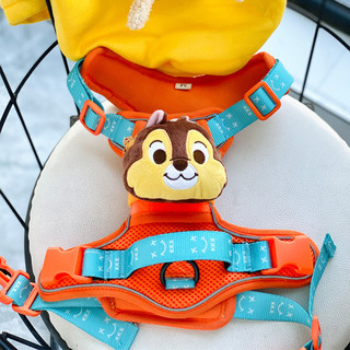 Dây dắt cho mèo đi dạo, dây dắt chó lớn chó corgi hình sóc cute BECHON