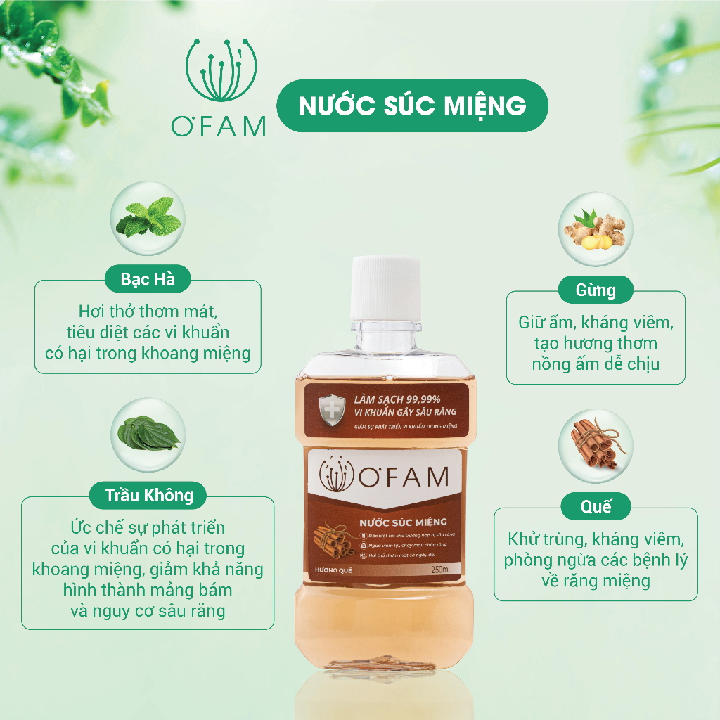 Nước súc miệng O'Fam 250ml ngừa viêm nướu, loại sạch mảng bám, mang lại hơi thở thơm mát tự nhiên