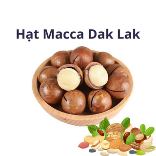 500gram Hạt Macca Organic ĐăkLăk size A sấy lạnh giữ trọn vẹn dinh dưỡng hạt