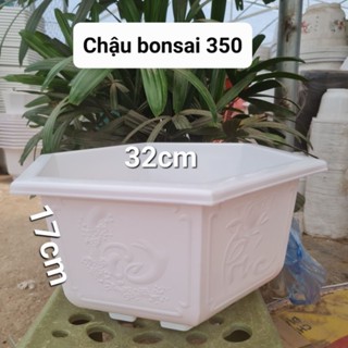  Combo 5 cái chậu nhựa Bonsai 350 màu trắng kích thước miệng 32cmx cao 17cm 
