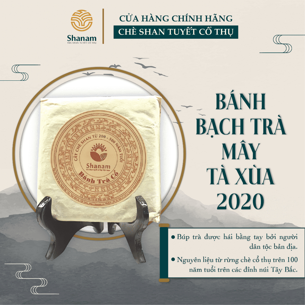Trà Phổ Nhĩ - Bánh Bạch Trà Mây Tà Xùa, Trà Shan Tuyết Cổ Thụ Hảo Hạng Bánh 300g - Shanam