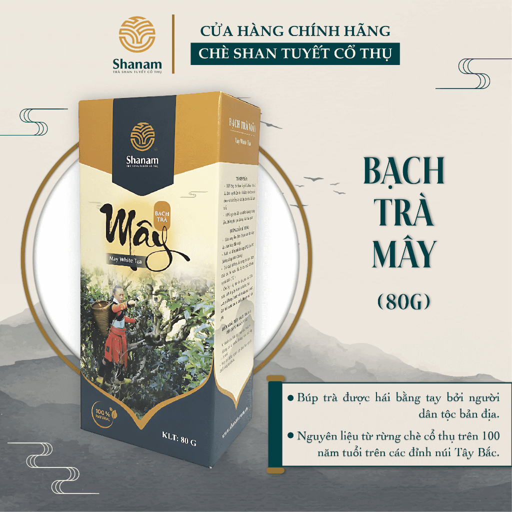 BẠCH TRÀ MÂY HỘP 80G