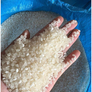 Gạo nếp tú lệ chuẩn loại 1, gạo ko pha trộn . thu mua trực tiếp tại làng bản