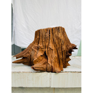 Lũa gỗ mini ghép thuỷ sinh - decor tiểu cảnh