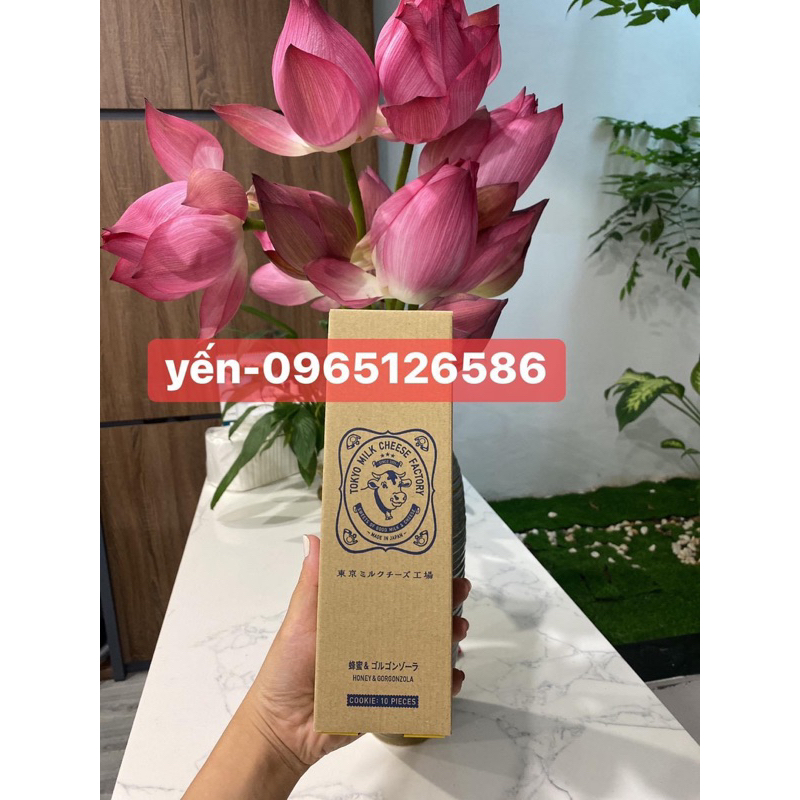 Tokyo mild cheese hộp 10 chiếc