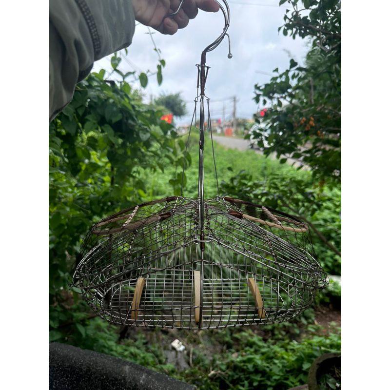 Lụp bẫy inox chim sâu, khuyên, huýt cô và các dòng chim nhỏ