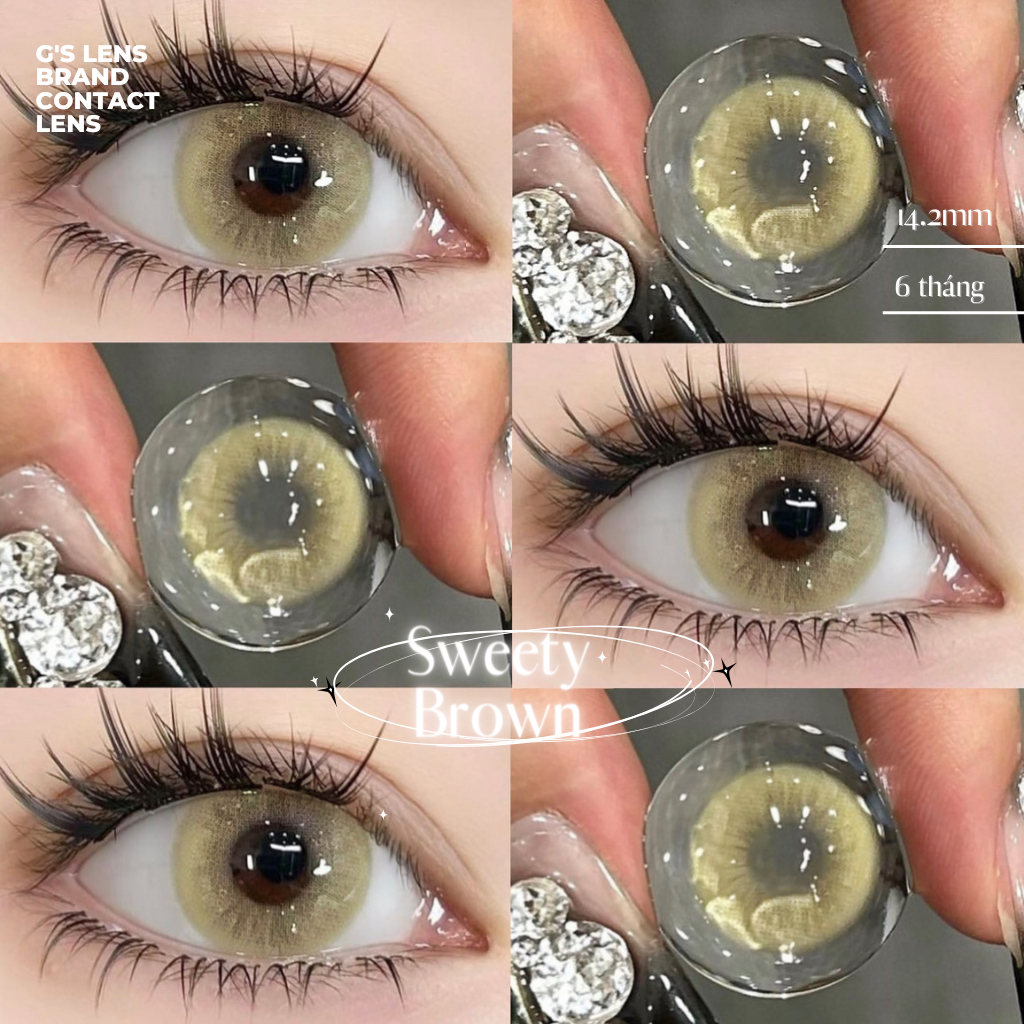 Lens Mắt Kính Áp Tròng Nâu Vàng SWEETY BROWN Giãn Ít Size S 14.2mm Có 0 Đến 6 Độ Cận Lệch Độ