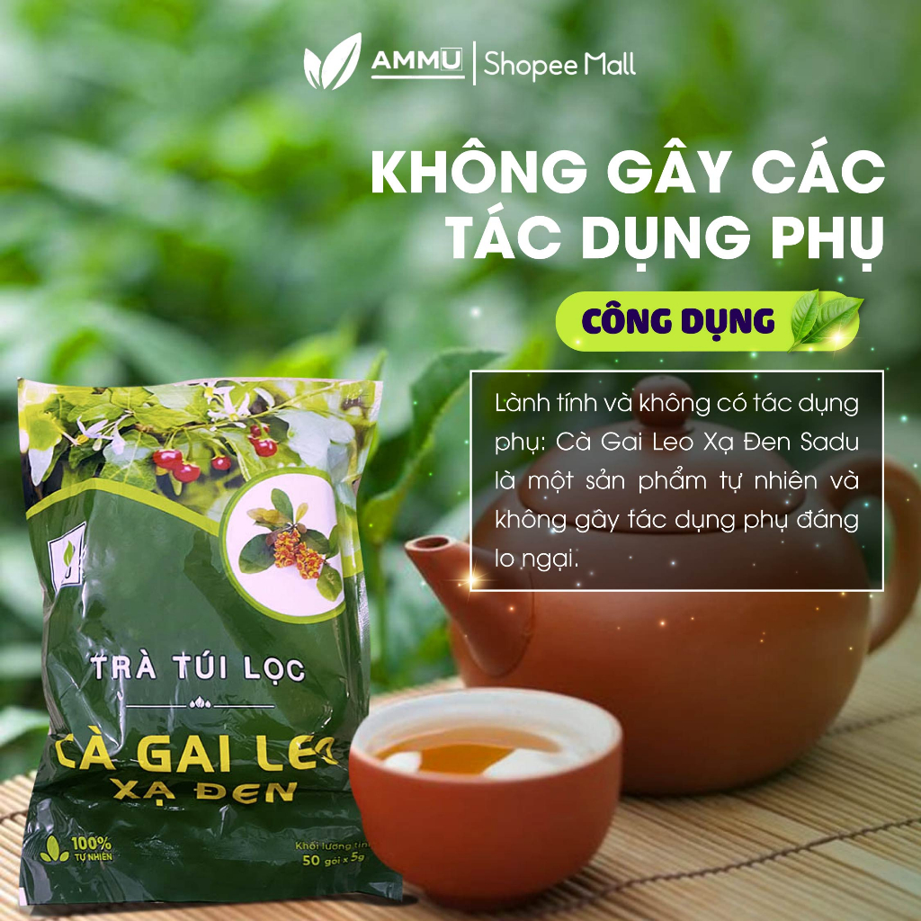 Trà cà gai leo xạ đen túi lọc sadu túi lọc mát gan giải độc thanh lọc cơ thể 250g