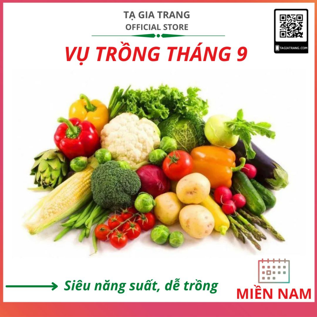 Hạt giống rau củ quả trồng tháng 9 ở miền Nam sớm thu hoạch.