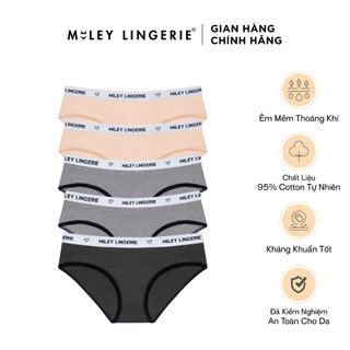 Combo 5 Quần Lót Cotton Lưng Logo Being Me Miley Lingerie