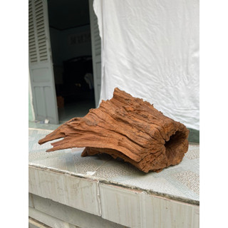 Lũa gỗ mini ghép thuỷ sinh - decor tiểu cảnh