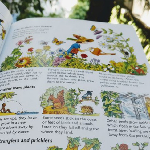 Sách Usborne - Bách khoa toàn thư cho bé 6-8 tuổi The Usborne Children's Encyclopedia
