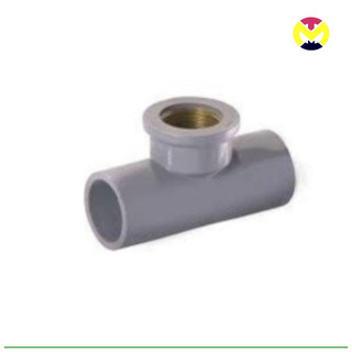 T 21mm ren trong 21mm pvc bb t21 rt 21