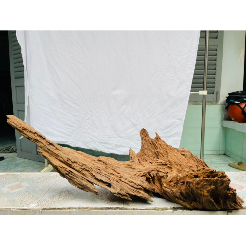 Lũa gỗ setup thuỷ sinh - decor tiểu cảnh