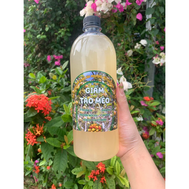 Giấm Táo Mèo 1lit. giảm kg hiệu quả. loại nguyên chất không pha