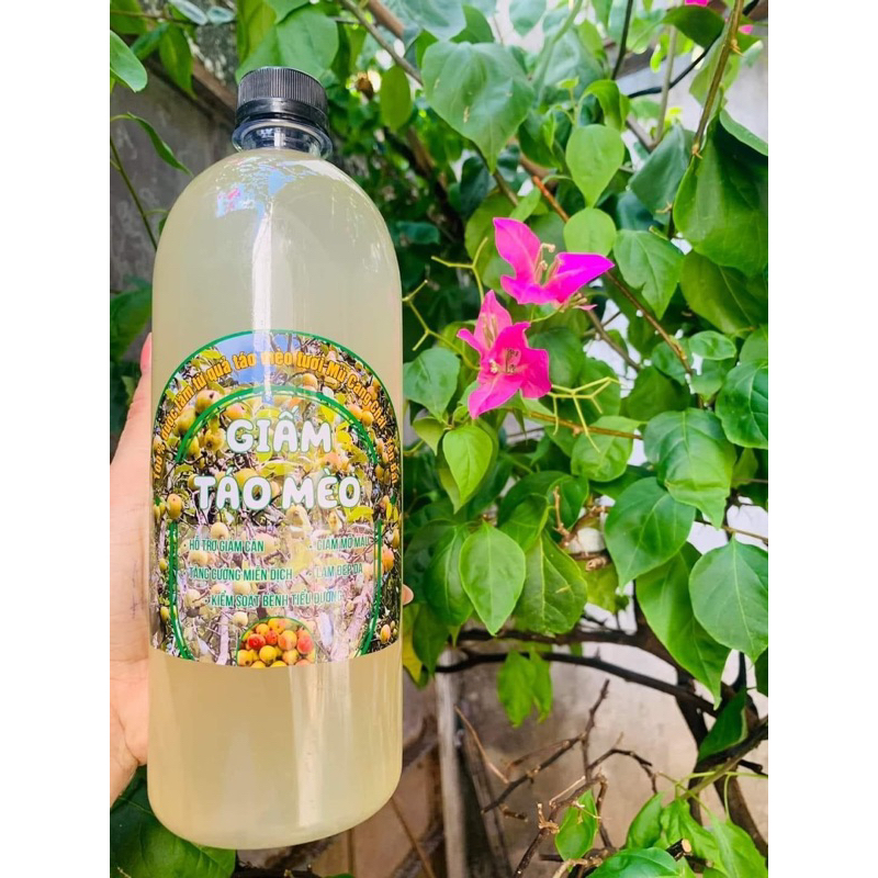 Giấm Táo Mèo 1lit. giảm kg hiệu quả. loại nguyên chất không pha