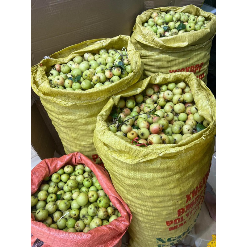 Giấm Táo Mèo 1lit. giảm kg hiệu quả. loại nguyên chất không pha