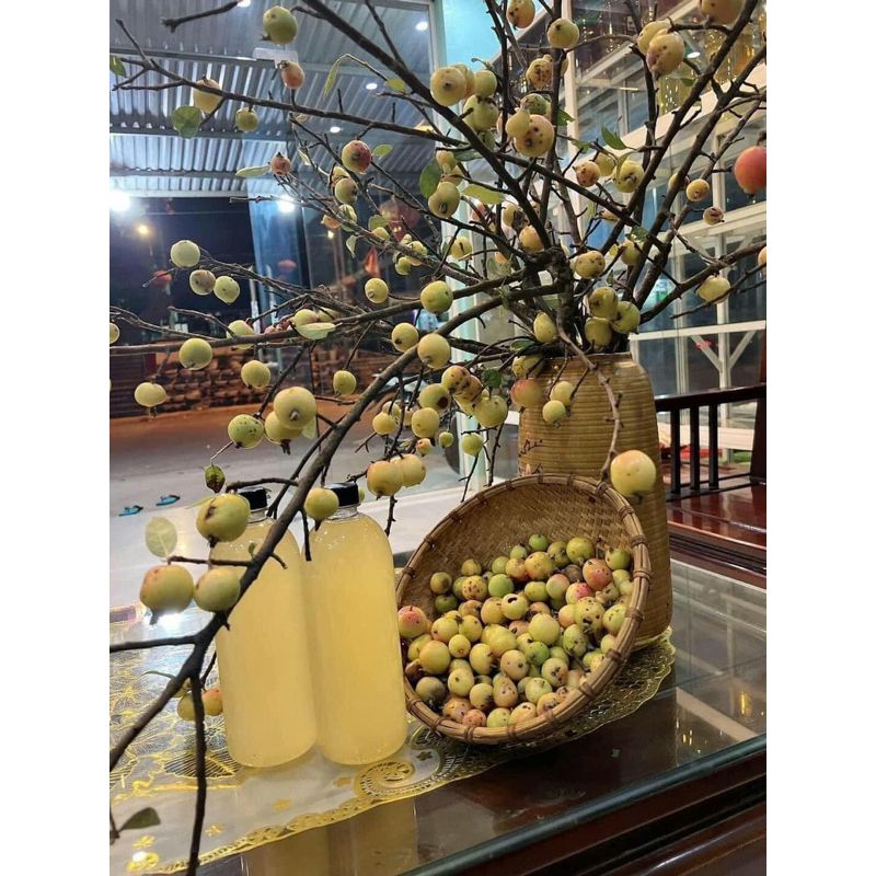 Giấm Táo Mèo 1lit. giảm kg hiệu quả. loại nguyên chất không pha