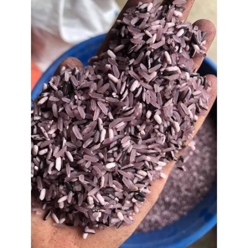 Gạo Nương Tím H’mông Tú Lệ Loại 1 . chuẩn ngon ko pha trộn .gạo mới 100% ko bán gạo cũ