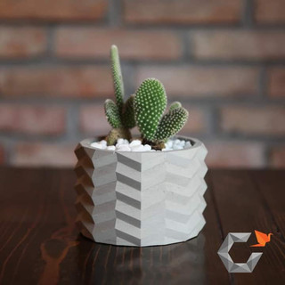 Chậu cây cảnh xi măng mini để bàn Cori 11x8cm, chậu trồng sen đá lithop decor Bàn học cement pots