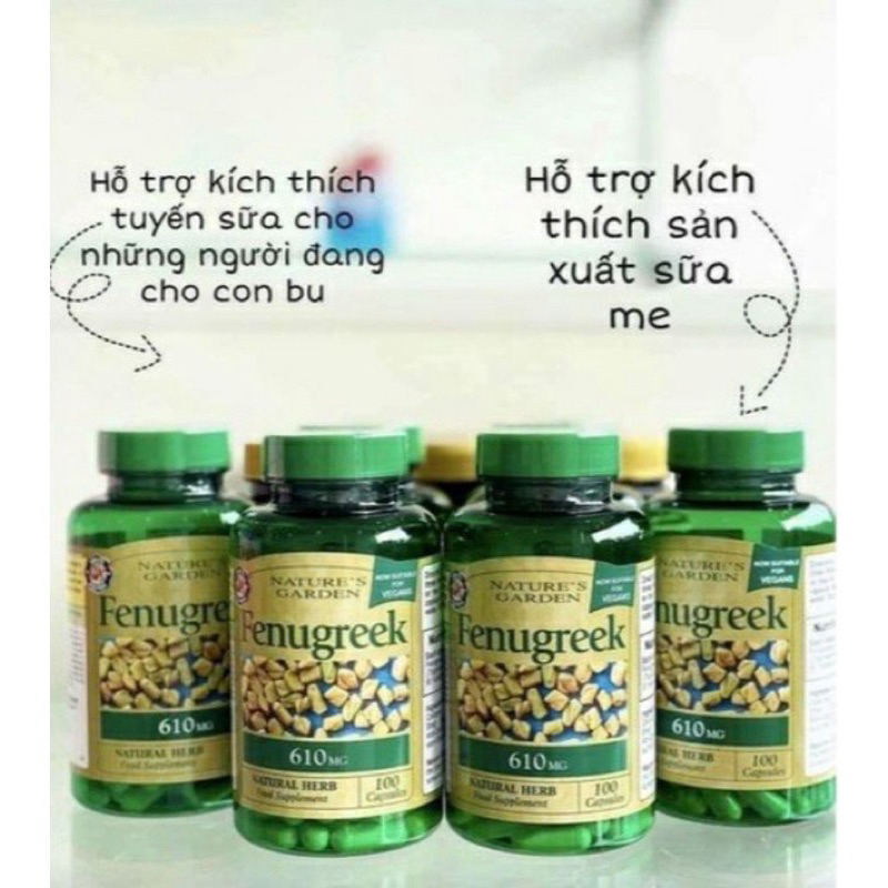 Viên uống cỏ lợi sữa cari Fenugreek 610mg và 500mg của Anh cho mẹ bầu