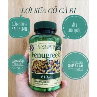 Viên uống cỏ lợi sữa cari Fenugreek 610mg và 500mg của Anh cho mẹ bầu