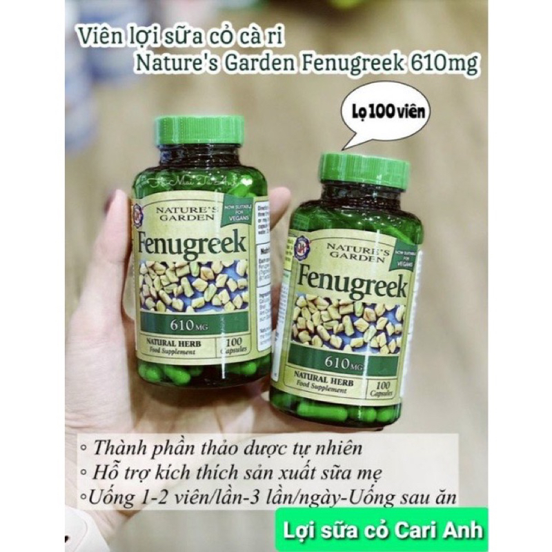 Viên uống cỏ lợi sữa cari Fenugreek 610mg và 500mg của Anh cho mẹ bầu