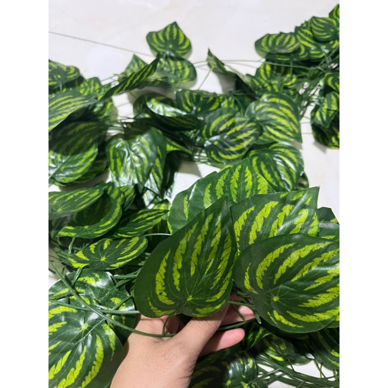 Dây leo giả lá Trầu Bà - combo 12 dây 2,2m