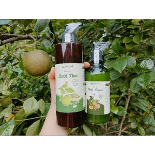 Bộ đôi dầu gội và dầu xả bưởi non Howe handmade