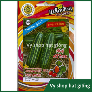 Hạt giống dưa chuột sọc Shishi Thái Lan gói 100 hạt