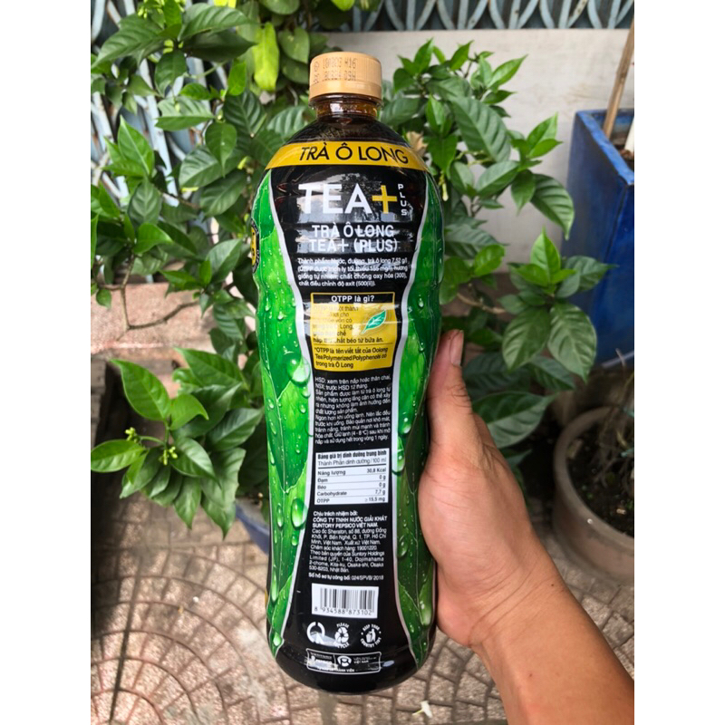 Trà Ô Long Tea+ chai 1L--