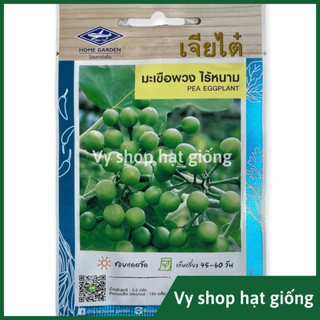 Hạt giống cà đắng hoa trắng thái lan gói 150 hạt