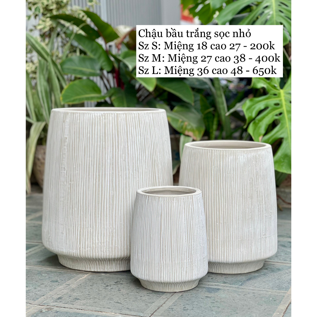 CHẬU GỐM BẦU SƠN TAY THỦ CÔNG TRỒNG CÂY KIỂNG DECOR TRANG TRÍ