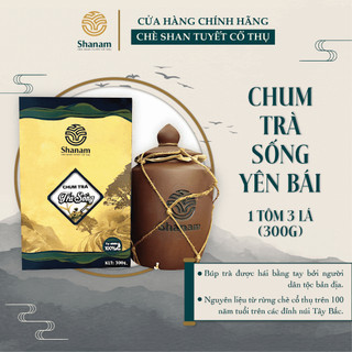 Trà vàng - chum mix trà sống yên bái 1t-3l 300g-shanam