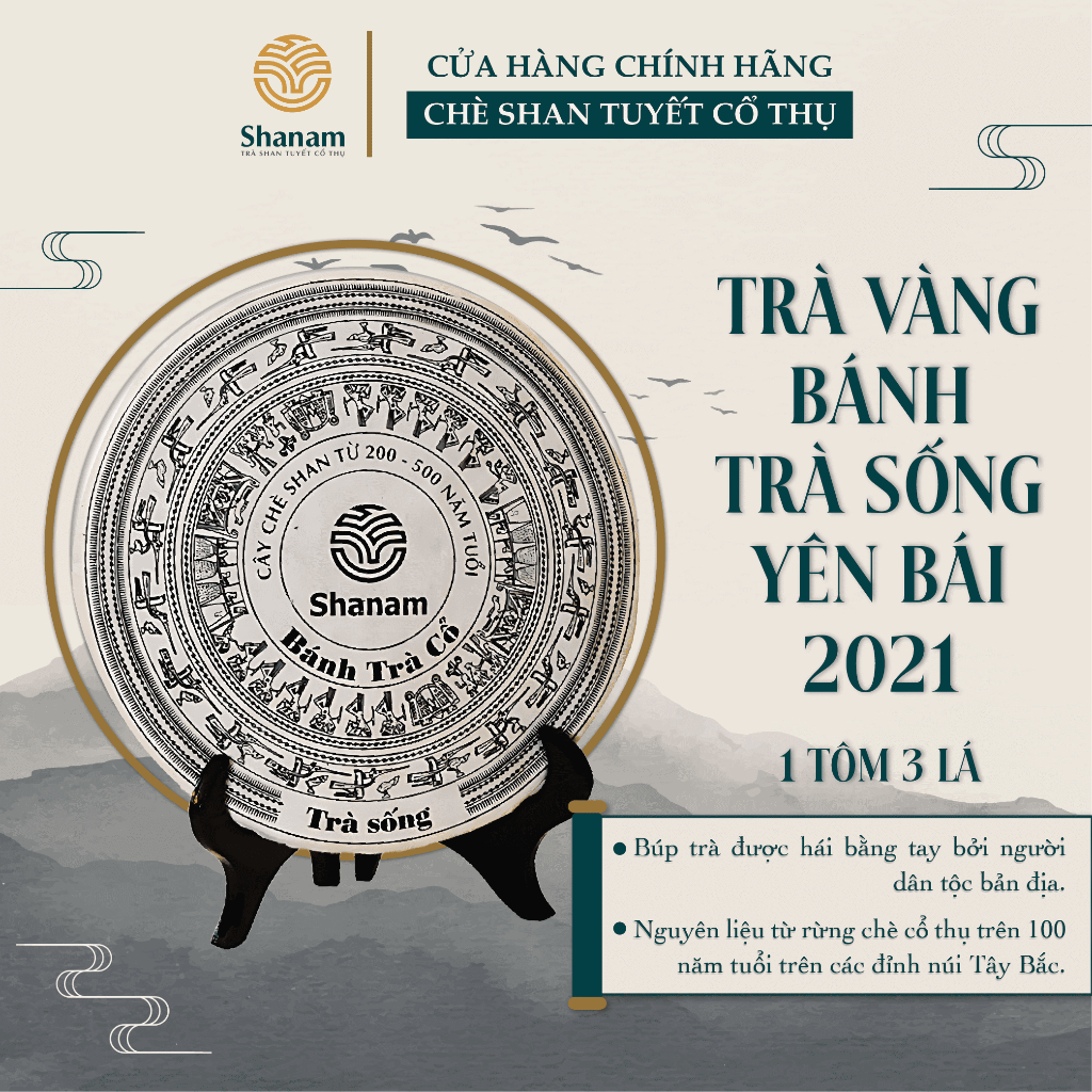 Trà Phổ Nhĩ Sống Shanam - Trà Vàng, Bánh Trà Sống Cổ Thụ 2021 Yên Bái 1 Tôm 3 Lá - Bánh 300g BTR