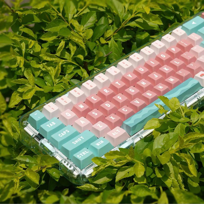 Keycap Watermelon XDA Profile chất liệu PBT dyesub dùng trên nhiều layout bàn phím cơ - Polabe Store
