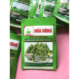 Hạt giống rau dền cơm, ngon ngọt