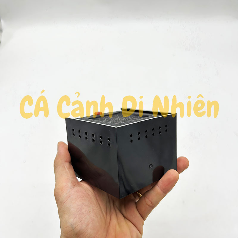 Hộp nuôi bò sát côn trùng nắp trượt bằng nhựa Acrylic