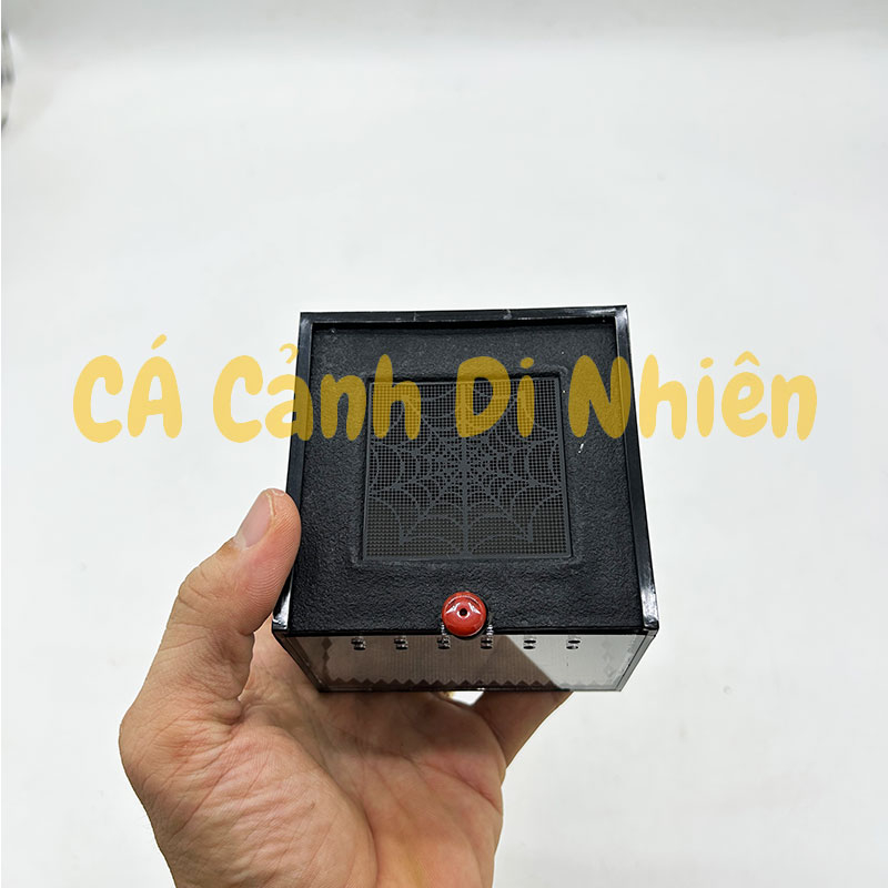 Hộp nuôi bò sát côn trùng nắp trượt bằng nhựa Acrylic