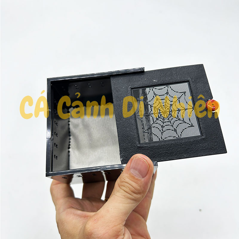 Hộp nuôi bò sát côn trùng nắp trượt bằng nhựa Acrylic