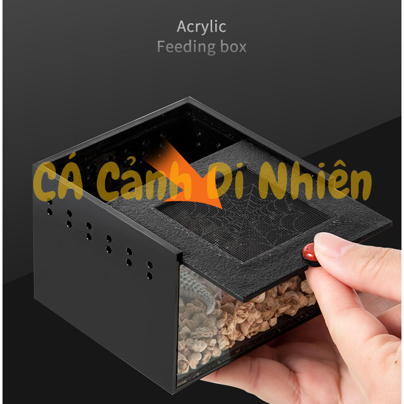 Hộp nuôi bò sát côn trùng nắp trượt bằng nhựa Acrylic